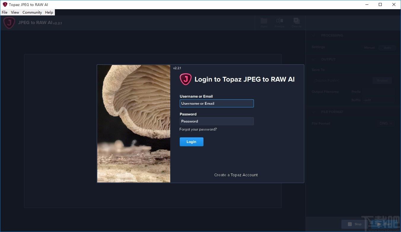 Topaz JPEG to RAW AI,图片格式转换,图片自动处理