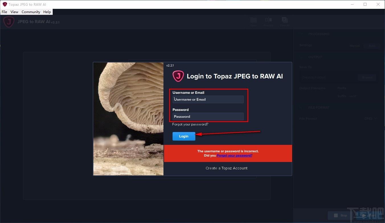 Topaz JPEG to RAW AI,图片格式转换,图片自动处理