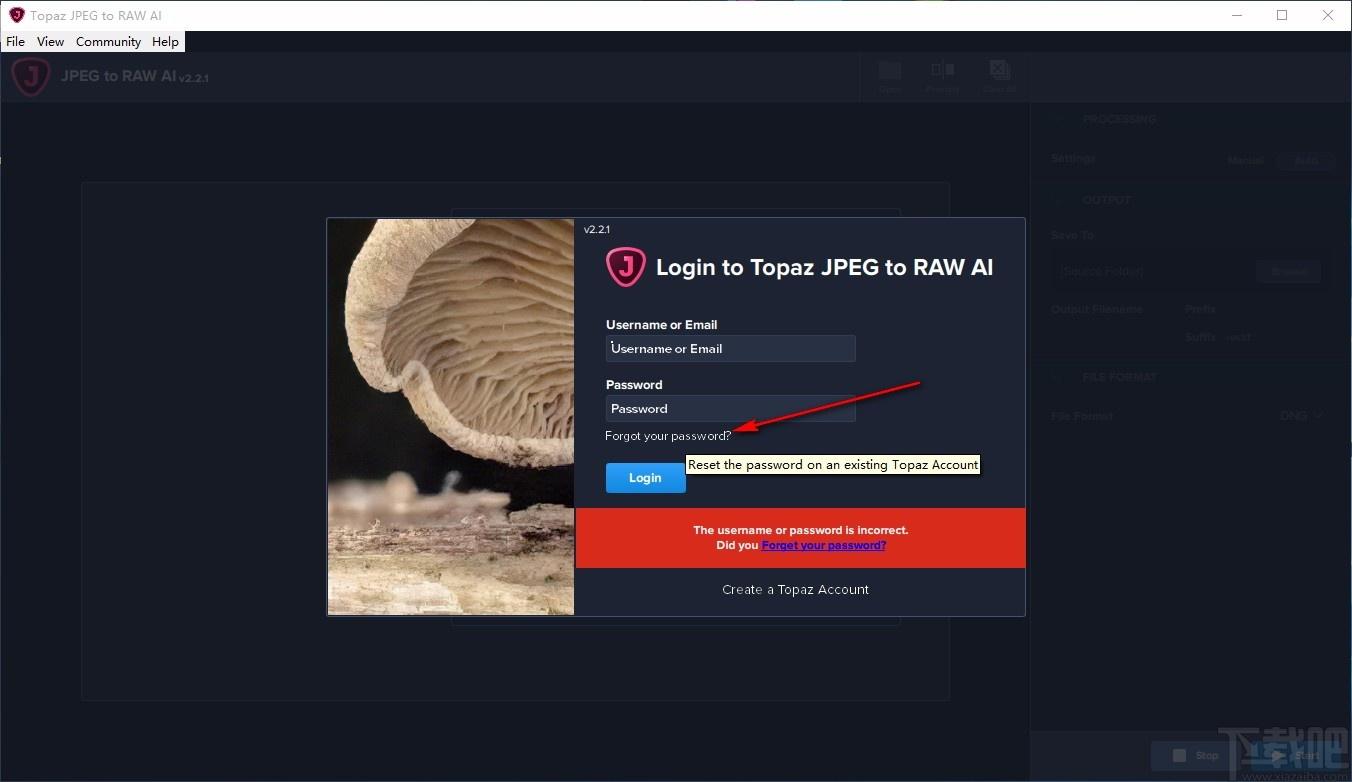 Topaz JPEG to RAW AI,图片格式转换,图片自动处理